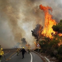 La Junta realizará labores de prevención de incendios en montes privados