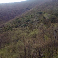 Controlados los incendios de Jerte y Tornavacas