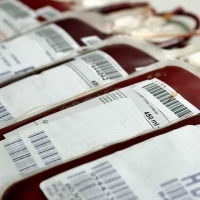 Extremadura continúa líder en donación de sangre