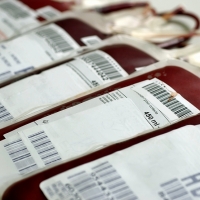 El Banco de Sangre se propone aumentar las donaciones en Mérida