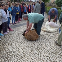 El Museo Arqueológico prepara la III edición de la Esquila Didáctica