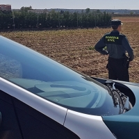 Investigan a dos vecinos de Badajoz por el robo de 700 kilos de espárragos