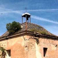 La vegetación invade el yacimiento arqueológico de la Alcazaba