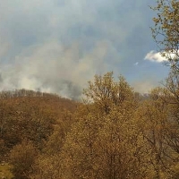 Medio Ambiente: &quot;Los incendios del Jerte han sido provocados&quot;