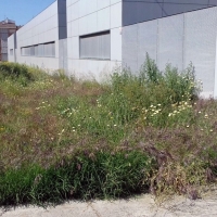 Denuncian el estado de abandono de algunas zonas de Badajoz