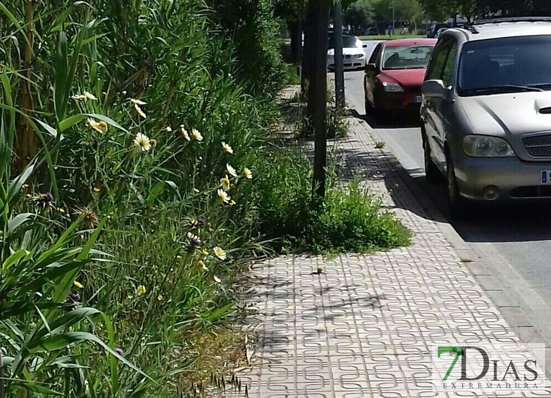 Denuncian el estado de abandono de algunas zonas de Badajoz