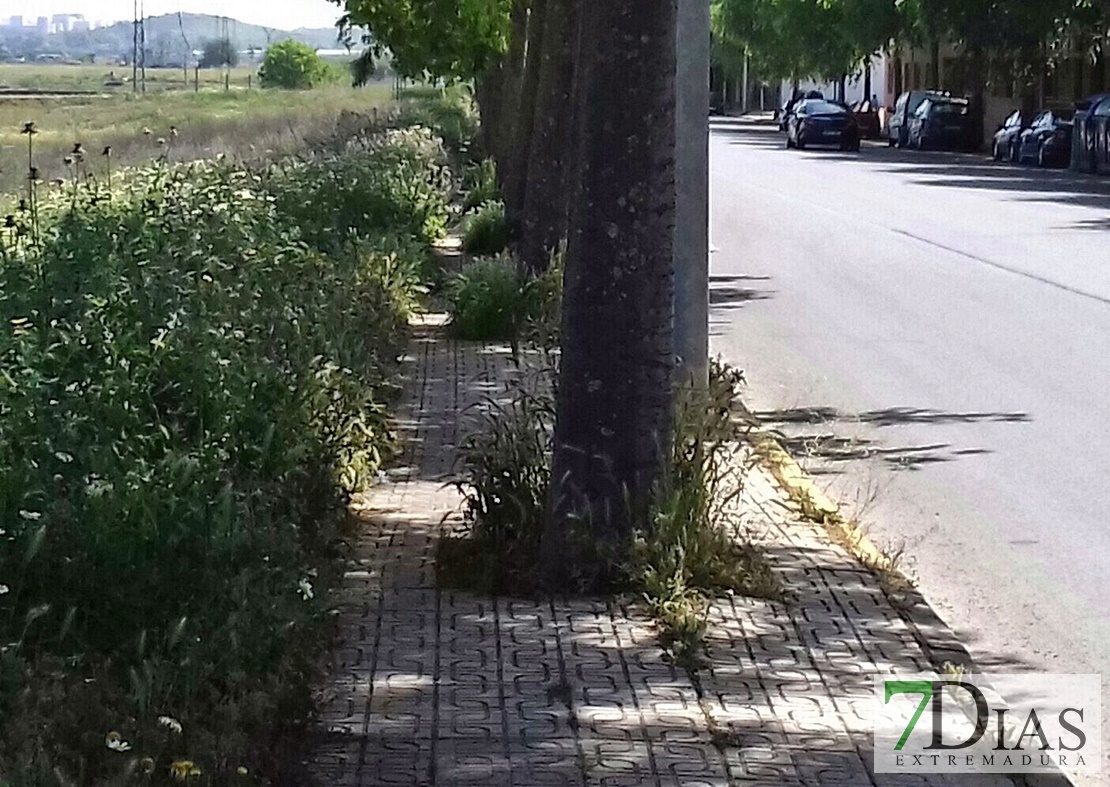 Denuncian el estado de abandono de algunas zonas de Badajoz