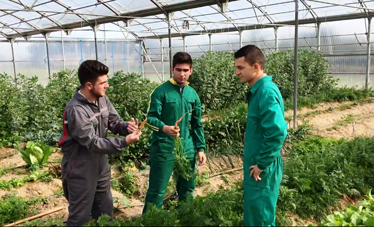 Flores de Bach e invernaderos urbanos entre los finalistas de Expertemprende