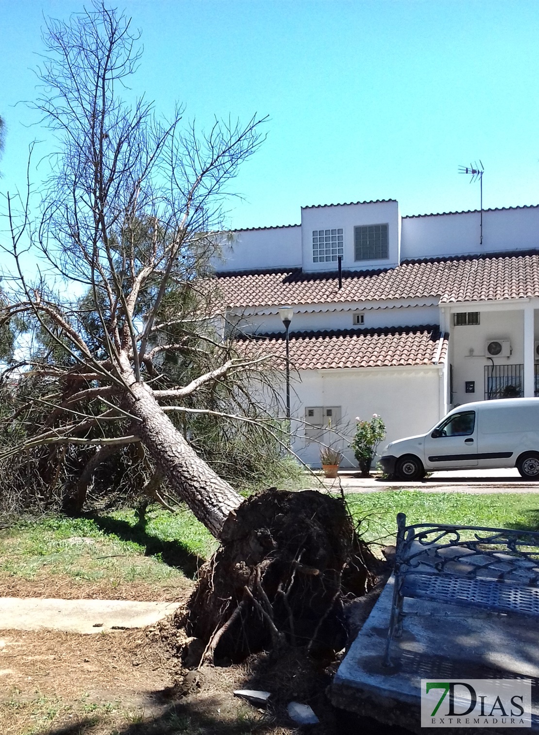 Cae un árbol de grandes dimensiones cerca de unas viviendas de Villafranco