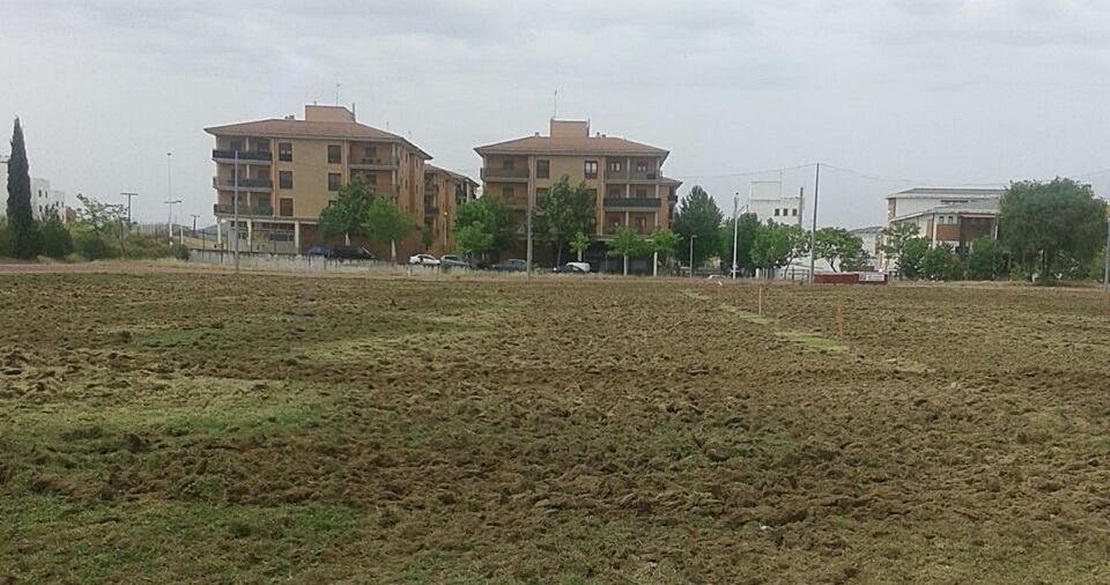 Comienzan los trabajos de renovación del césped de las pistas del Diocles