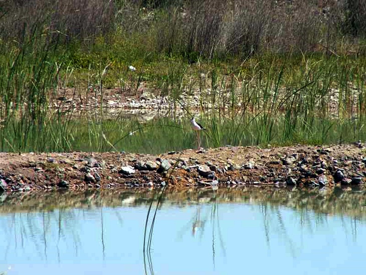 El Chaparral y Los Baselisos ya son Parques Periurbanos
