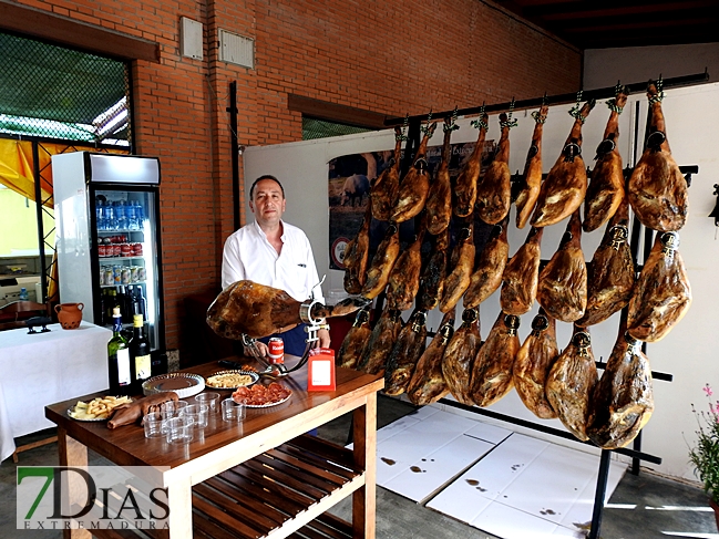 Imágenes de la inauguración del Salón del Jamón en Jerez