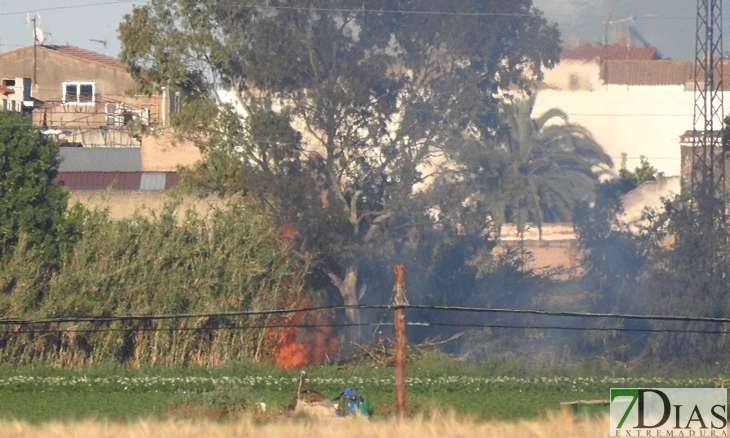Los Bomberos sofocan un incendio en la rivera de los Limonetes (Talavera la Real)