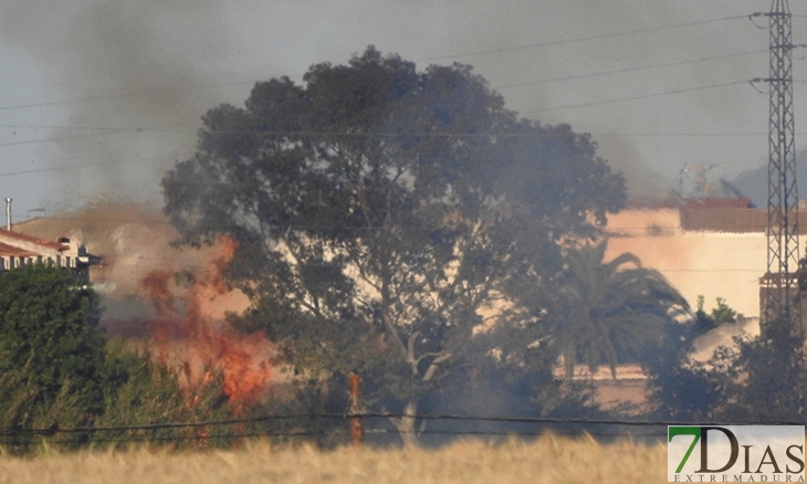 Los Bomberos sofocan un incendio en la rivera de los Limonetes (Talavera la Real)