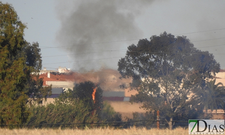 Los Bomberos sofocan un incendio en la rivera de los Limonetes (Talavera la Real)