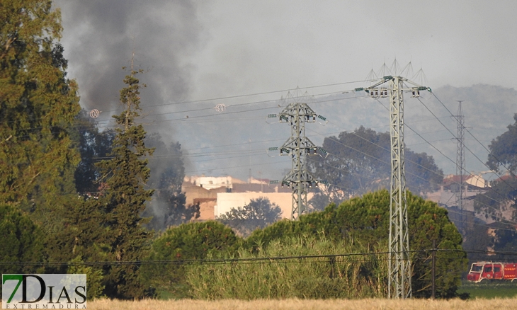 Los Bomberos sofocan un incendio en la rivera de los Limonetes (Talavera la Real)