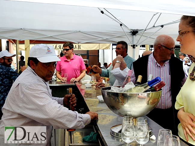 Imágenes de la Fiesta del Vino en Entrin Bajo