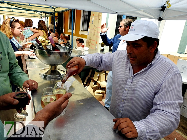 Imágenes de la Fiesta del Vino en Entrin Bajo