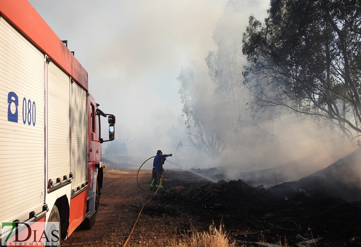 Primer grave incendio de la temporada en Badajoz