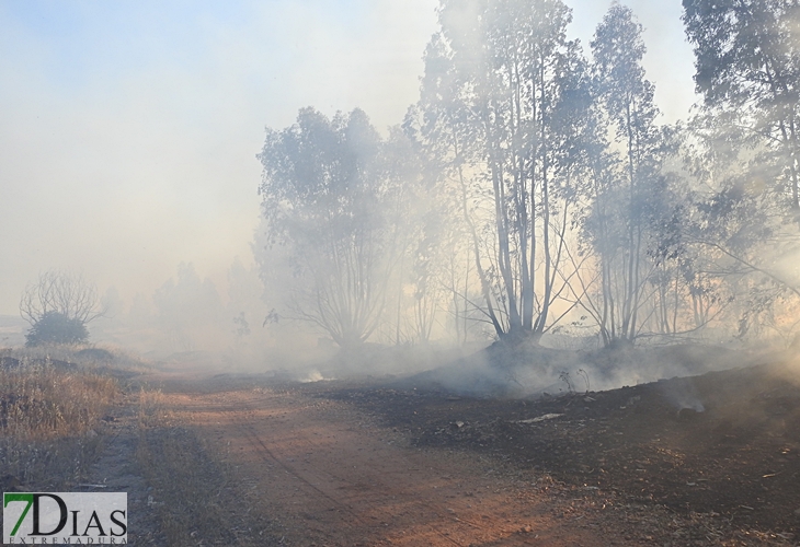 Primer grave incendio de la temporada en Badajoz