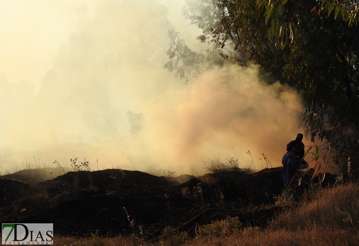 Primer grave incendio de la temporada en Badajoz
