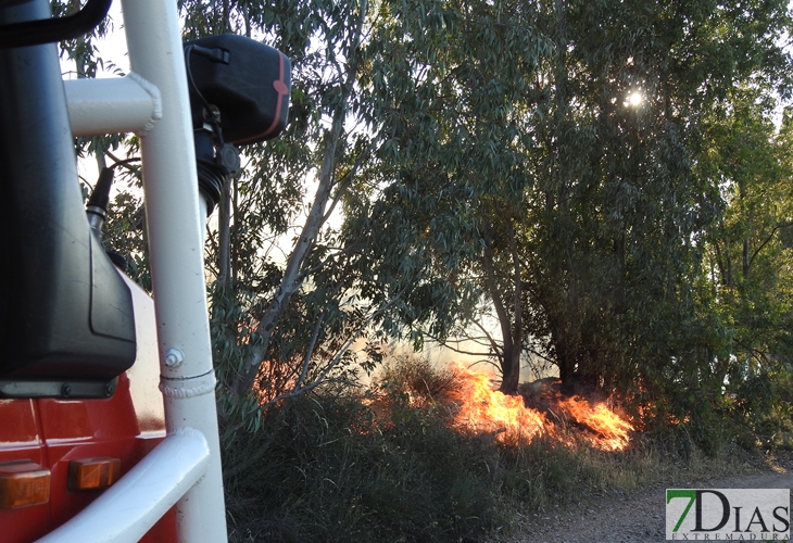 Primer grave incendio de la temporada en Badajoz