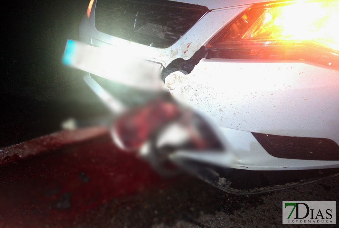 Un animal provoca un accidente que deja 5 personas heridas