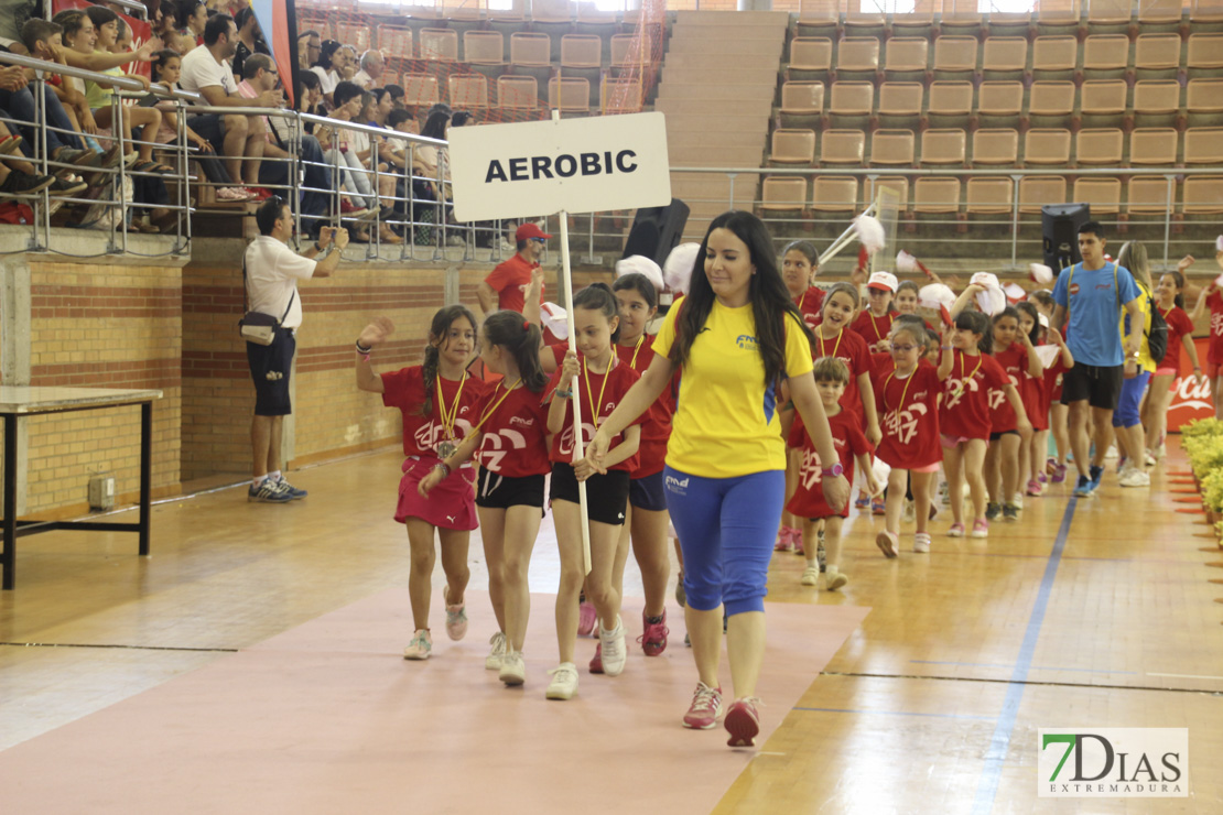 Imágenes de las 29º Clausura de las Escuelas Deportivas Municipales