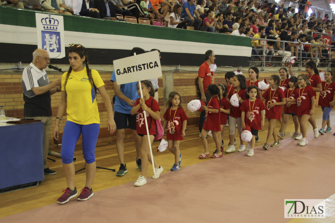 Imágenes de las 29º Clausura de las Escuelas Deportivas Municipales