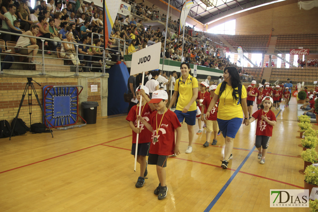 Imágenes de las 29º Clausura de las Escuelas Deportivas Municipales