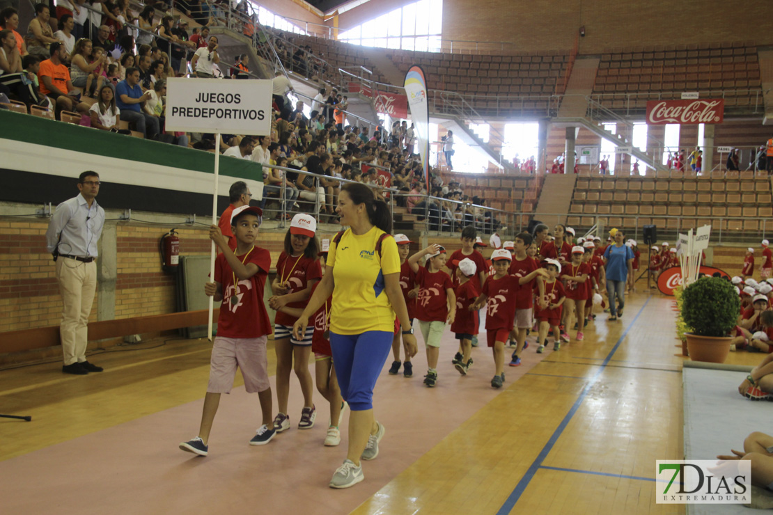 Imágenes de las 29º Clausura de las Escuelas Deportivas Municipales