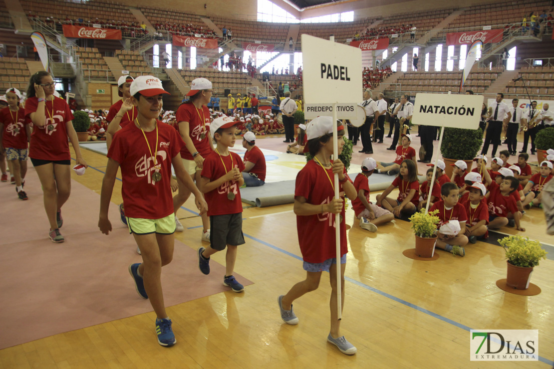 Imágenes de las 29º Clausura de las Escuelas Deportivas Municipales