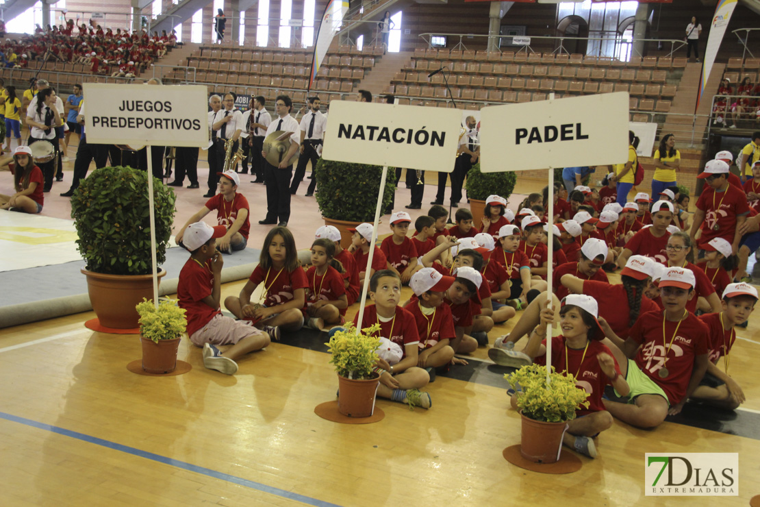 Imágenes de las 29º Clausura de las Escuelas Deportivas Municipales