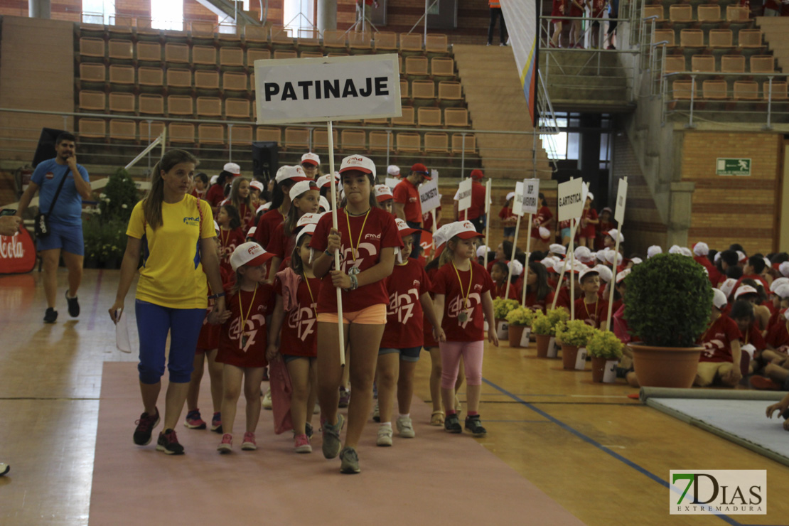 Imágenes de las 29º Clausura de las Escuelas Deportivas Municipales