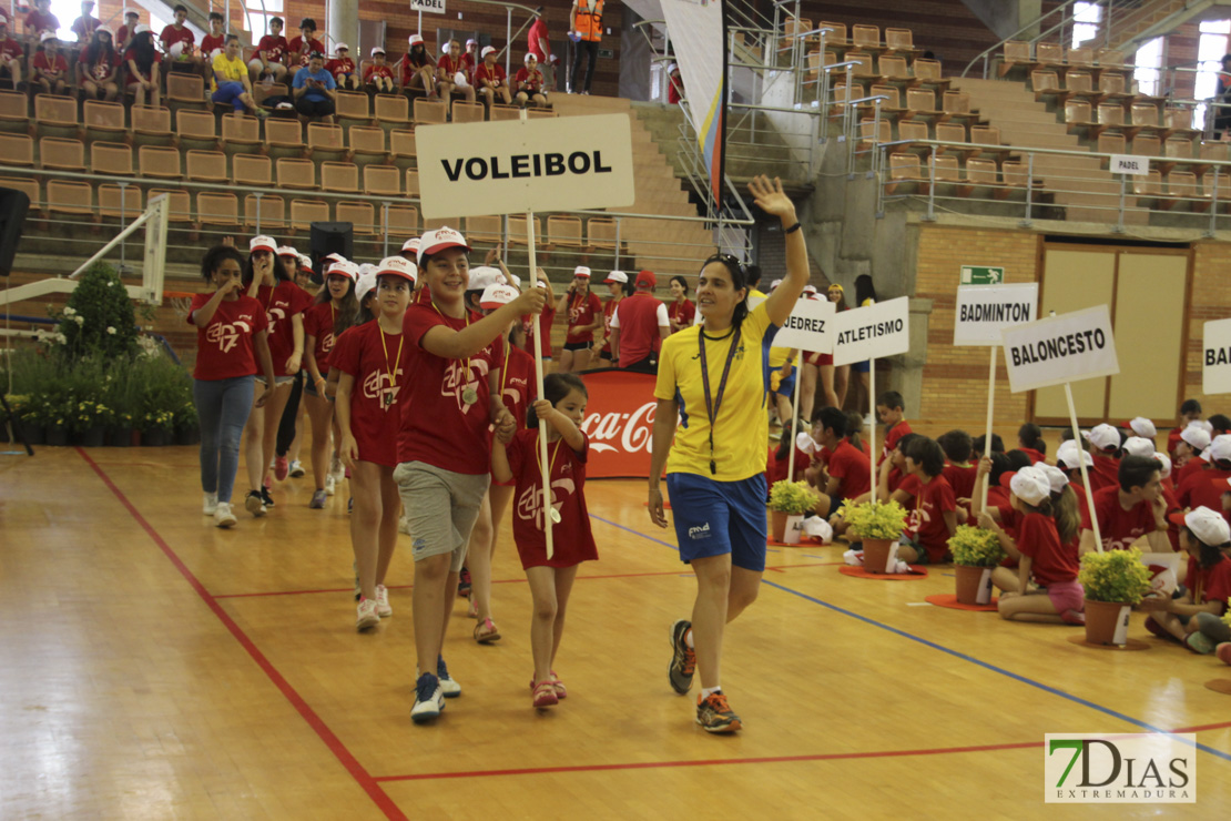 Imágenes de las 29º Clausura de las Escuelas Deportivas Municipales