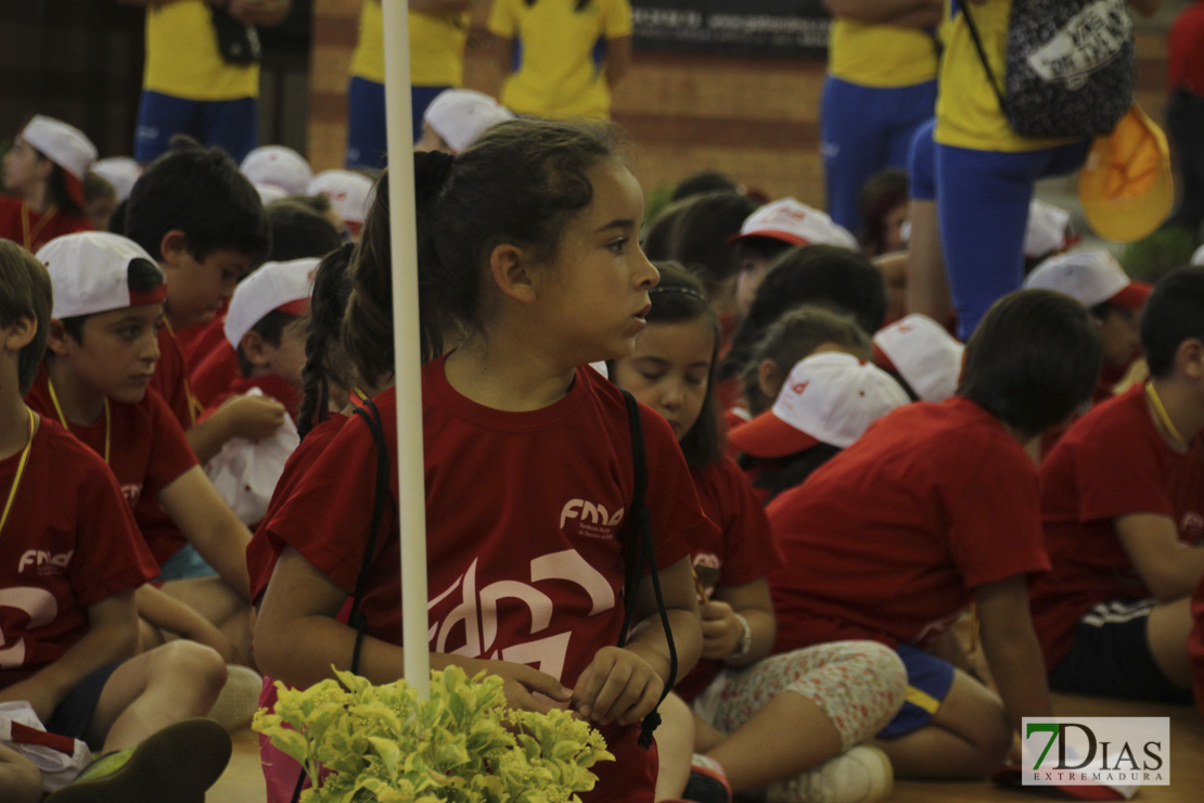 Imágenes de las 29º Clausura de las Escuelas Deportivas Municipales