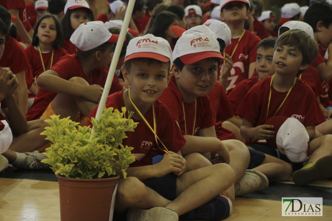 Imágenes de las 29º Clausura de las Escuelas Deportivas Municipales