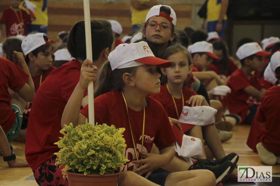 Imágenes de las 29º Clausura de las Escuelas Deportivas Municipales