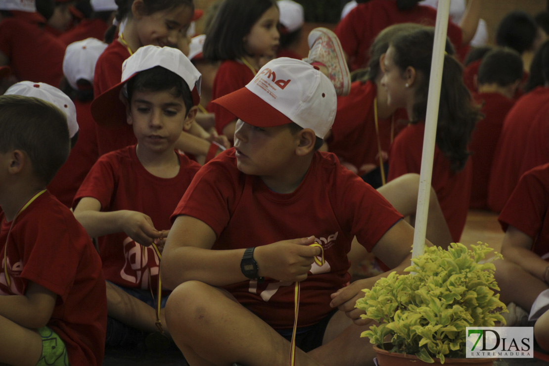 Imágenes de las 29º Clausura de las Escuelas Deportivas Municipales