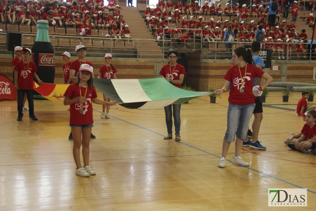 Imágenes de las 29º Clausura de las Escuelas Deportivas Municipales