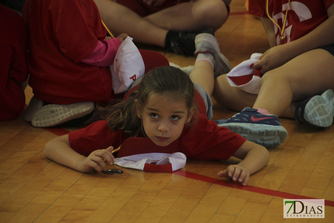 Imágenes de las 29º Clausura de las Escuelas Deportivas Municipales