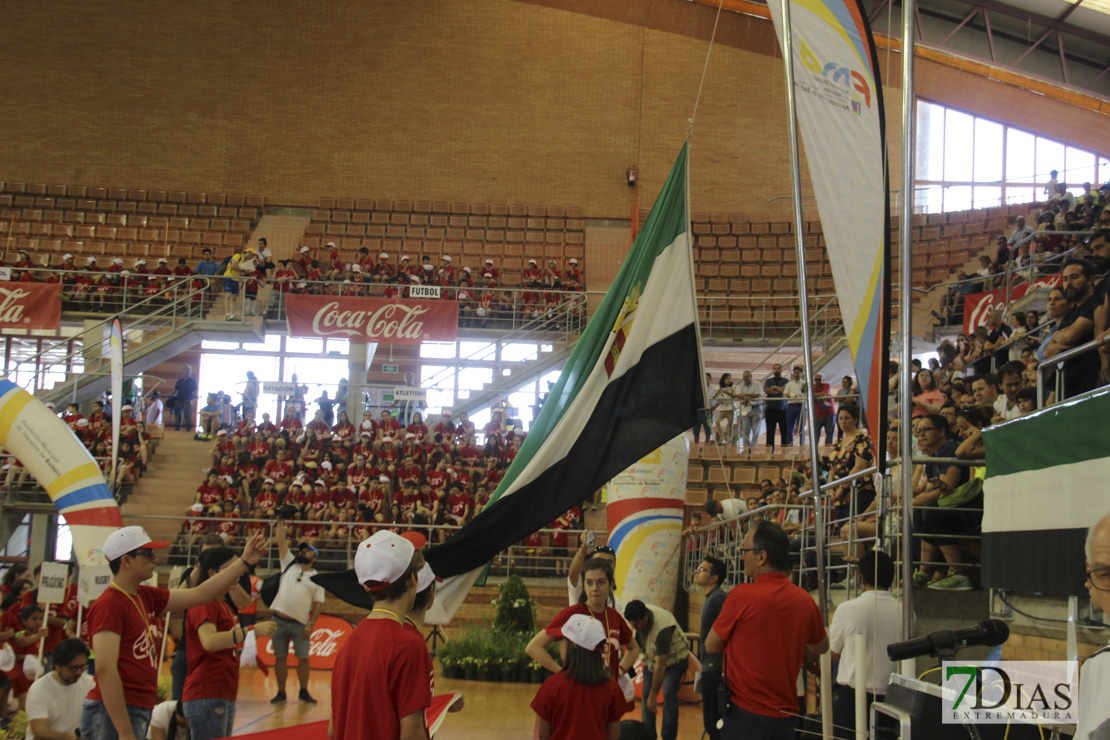 Imágenes de las 29º Clausura de las Escuelas Deportivas Municipales