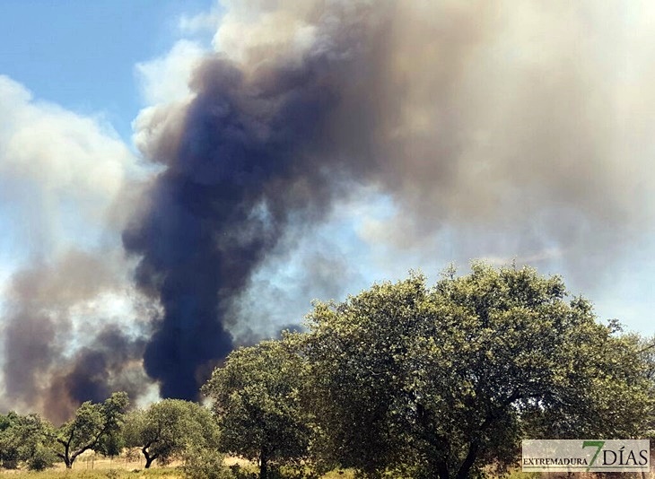 La Junta accederá a montes privados mediante una declaración de zona de alto riesgo