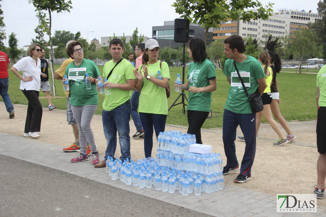 Imágenes de la II Carrera Solidaria Por la Plena Inclusión I