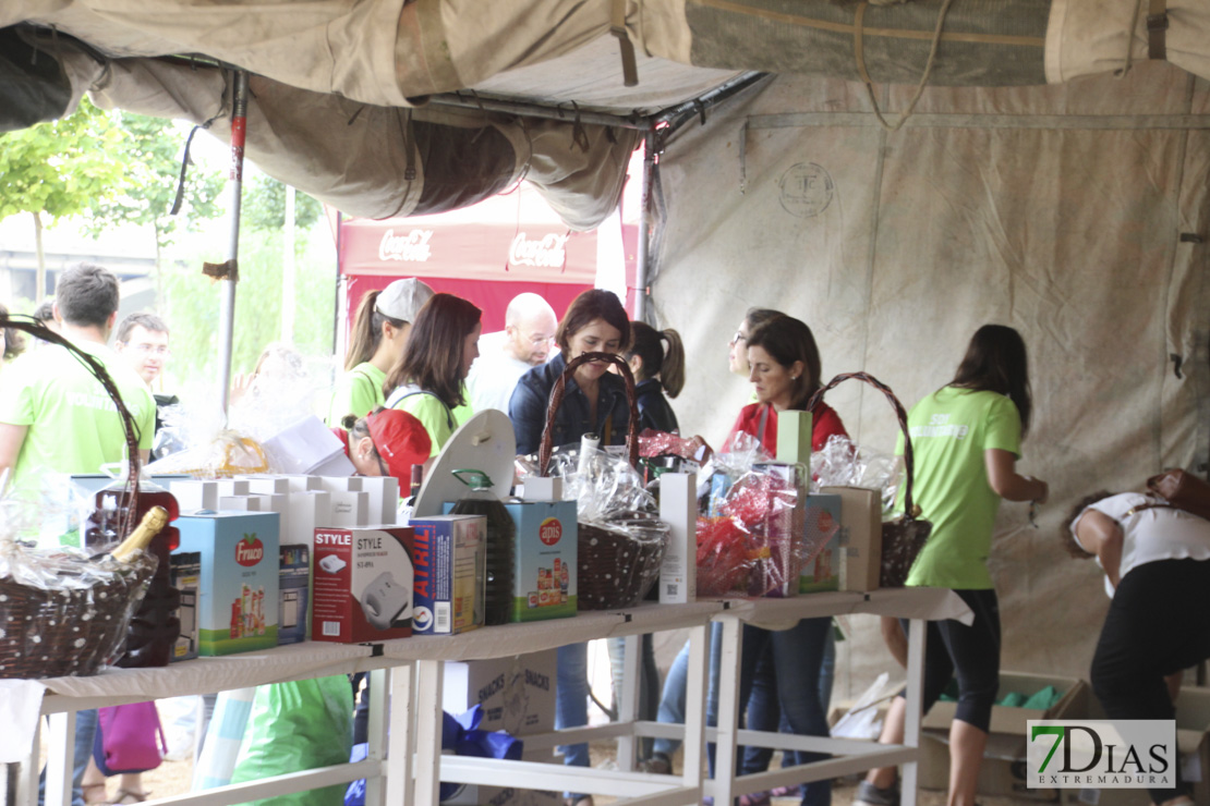Imágenes de la II Carrera Solidaria Por la Plena Inclusión I
