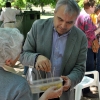 Jornada solidaria gastronómica de mayores en el parque de La Legión