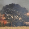 Los Bomberos sofocan un incendio en la rivera de los Limonetes (Talavera la Real)