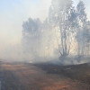 Primer grave incendio de la temporada en Badajoz