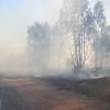 Primer grave incendio de la temporada en Badajoz