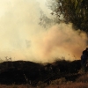 Primer grave incendio de la temporada en Badajoz